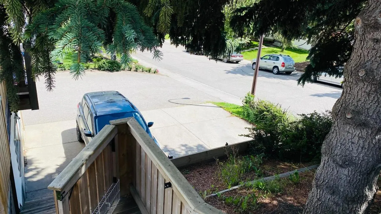 Bed & Breakfast Cozy Basement Suite-溫馨小屋 Designated Parking Calgary